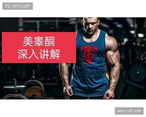 篮球规则:深入解析非法身体接触的定义与判定标准 篮球规则:深入解析非法身体接触的定义与判定标准