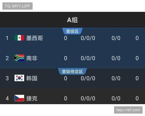 世界杯A组南非队战术打法全面解析 世界杯A组南非队战术打法全面解析